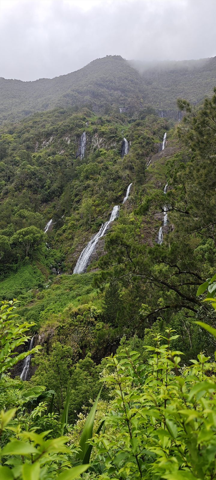 Cascade descendant de la falaise dans la forêt tropicale